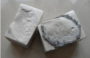 胶粉及酚醛树脂的市场概况与河北地区报价分析